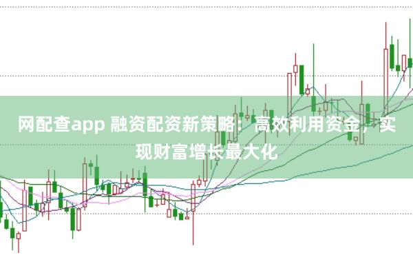 网配查app 融资配资新策略:高效利用资金,实现财富增长最大化