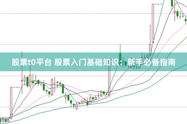 股票t0平台 股票入门基础知识：新手必备指南