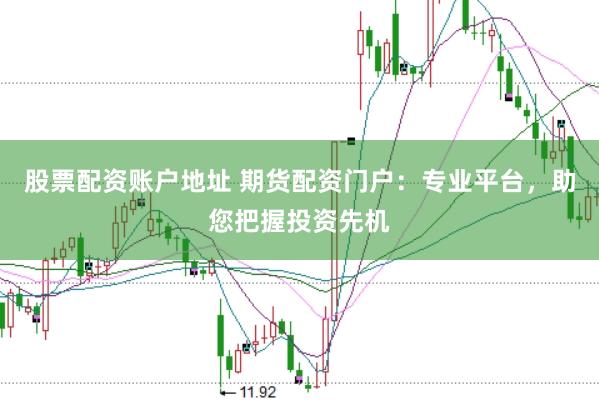 股票配资账户地址 期货配资门户：专业平台，助您把握投资先机