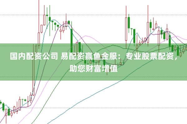 国内配资公司 易配资赢鱼金服：专业股票配资，助您财富增值