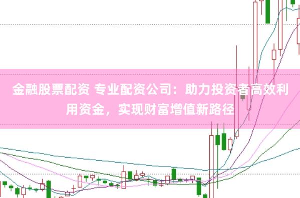 金融股票配资 专业配资公司:助力投资者高效利用资金,实现财富增值新路径
