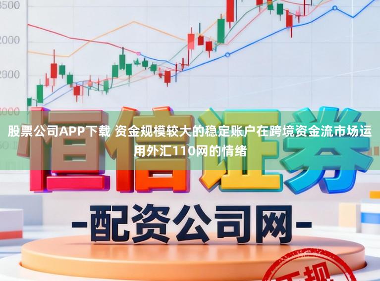 股票公司APP下载 资金规模较大的稳定账户在跨境资金流市场运用外汇110网的情绪