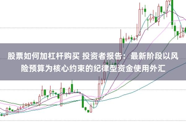 股票如何加杠杆购买 投资者报告：最新阶段以风险预算为核心约束的纪律型资金使用外汇