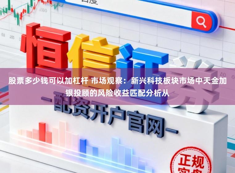 股票多少钱可以加杠杆 市场观察：新兴科技板块市场中天金加银投顾的风险收益匹配分析从
