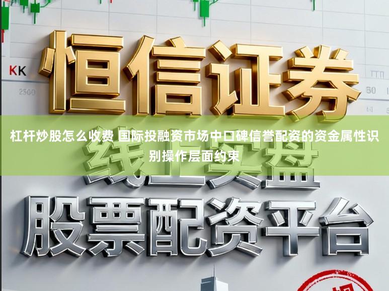 杠杆炒股怎么收费 国际投融资市场中口碑信誉配资的资金属性识别操作层面约束